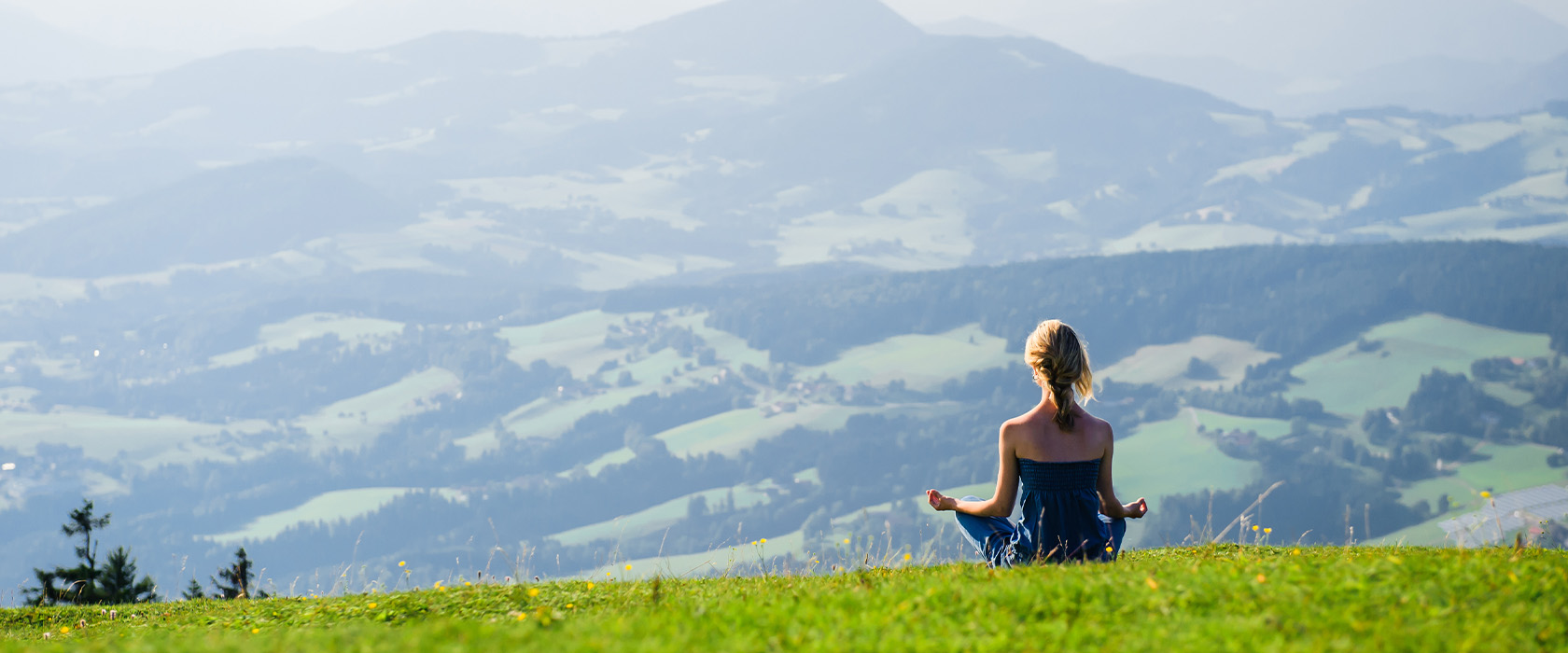 Йога Практика Познание